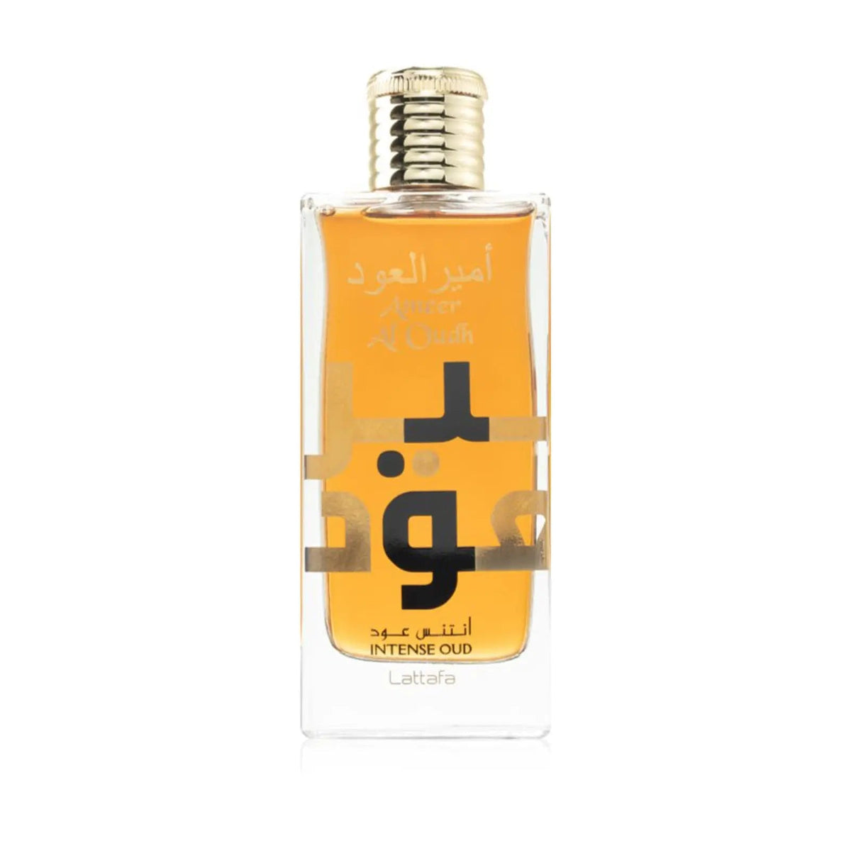 Lattafa Ameer Al Oudh Intense Oud 100ml Eau de Parfum bottle view 2